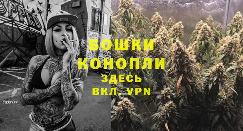 Канабис THC 21%  даркнет наркотические препараты  Павловский Посад 